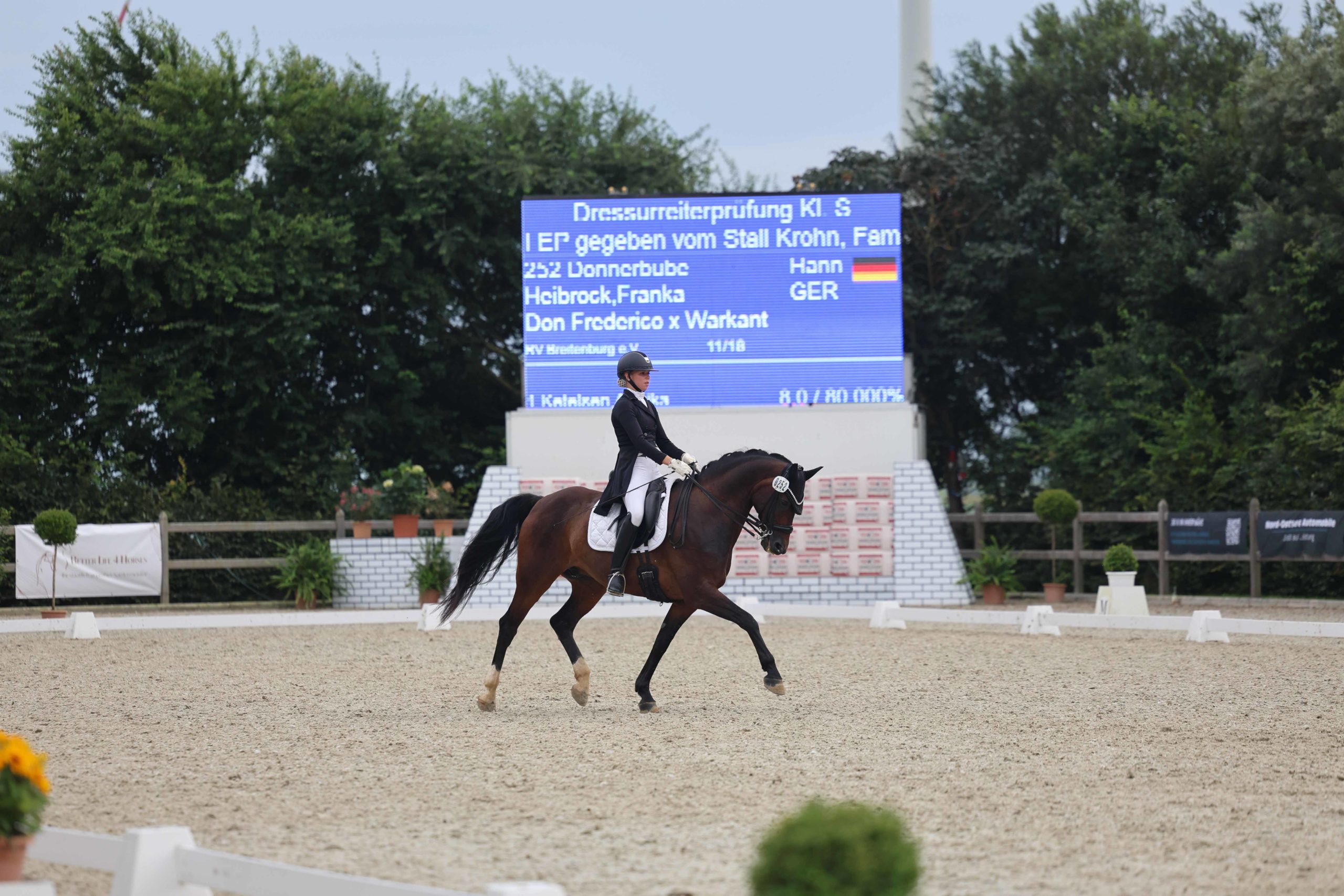 Dressur/Dressage